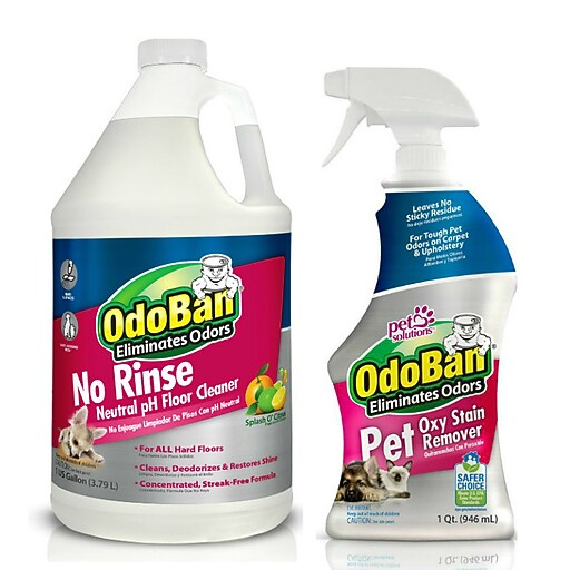Shop Staples for OdoBan Pet Solutions 32 oz. Spray Oxy Stain Remover