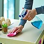 Floortex Hometex 22" x 17" Vinyl Place Mats, Fresh Mist, 2/Pack (FPHMTM4356EV2)~#|#~sp245876203_sc7