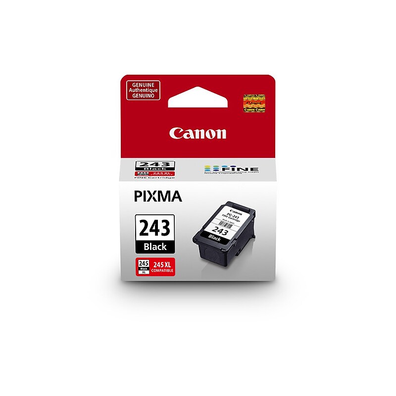 Canon 243 Black Standard Yield Ink Cartridge   (1287C001) image 1
