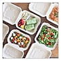 World Centric Plant-Based Fiber Hinged Carryout Container, Natural 300/Carton (TO-SC-U85-3-LFP)~#|#~sp269526401_sc7