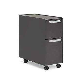 Allsteel Radii 2-Drawer Mobile Vertical File Cabinet, Letter/Legal Size, Lockable, 21"H x 10"W x 24"D, Flint (APGMBS249TFN001)