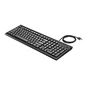 HP 100 Wired Keyboard, Black (2UN30AA#ABL)