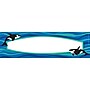 Barker Creek Sea & Sky School Name Plates, 12" x 3.5", 36/Pack (1449) ~#|#~sp28656218_sc7