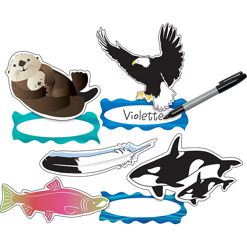 Barker Creek Sea & Sky Double-Sided Accents, Multi-Design, 36 per package/6 designs (BC2211) image 1