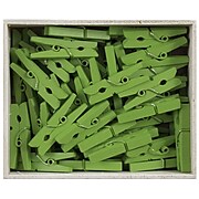 JAM Paper® Wood Clip Clothespins, Medium 1 1/8 Inch, Green Clothes Pins, 2 Packs of 50 (230729147A)