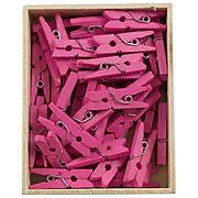 JAM Paper® Wood Clip Clothespins, Small 7/8 Inch, Fuchsia Pink Clothes Pins, 2 Packs of 50 (230729139A)