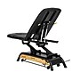 Viva Comfort Atlas Electric Height Adjustable Treatment Table with Safety Rail, 441 lb. Capacity, Black (903-30-30GR-MK)~#|#~sp309629574_sc7