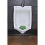 Fresh Products Tidal Wave Anti-Splash Urinal Screen, Cucumber Melon Scent, Light Green, 6/Pack (TWDS-F-006I036M-02)~#|#~sp309741667_sc7