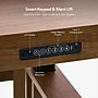 FlexiSpot Fusion Retro 63"W Electric Adjustable Standing Desk, Walnut Veneer (EHD-V6330WV)~#|#~sp309966596_sc7