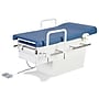 Viva Comfort Pointe Power Height Adjustable Pelvic Tilt Exam Table w/Stirrups & Hand Rails, 396 lbs. Capacity, Blue ~#|#~sp309966610_sc7
