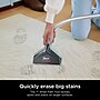 Shark CarpetXpert Wet/Dry Vacuum, Slate Green (EX151)~#|#~sp310654691_sc7