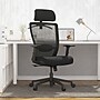 FlexiSpot Ergonomic Mesh Swivel Computer and Desk Chair, Black (C3B-FM)~#|#~sp311454541_sc7