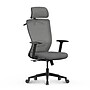 FlexiSpot Ergonomic Mesh Swivel Computer and Desk Chair, Gray (C3G-FM)~#|#~sp311454819_sc7