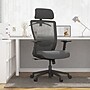 FlexiSpot Ergonomic Mesh Swivel Computer and Desk Chair, Gray (C3G-FM)~#|#~sp311454844_sc7