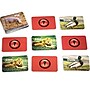 Stages Learning Materials Animals Photographic Memory Matching Game, 3/Bundle (SLM220-3)~#|#~sp311937328_sc7