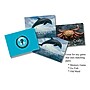 Stages Learning Materials Sea Life Photographic Memory Matching Game, 3/Bundle (SLM222-3)~#|#~sp311937343_sc7