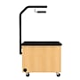 Diversified Woodcrafts Hydroponics Growing Center Table, Oak/Black (HGCKB)~#|#~sp312237154_sc7