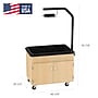 Diversified Woodcrafts Hydroponics Growing Center Table, Maple/Black (HGCMB)~#|#~sp312237186_sc7
