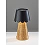 Adesso Tory 9.75"H LED Table Lamp, Rattan/Black (3165-01)~#|#~sp312298675_sc7