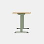 Branch Duo 58"W Electric Adjustable Standing Desk, Woodgrain/Sage (10-10-09-68)~#|#~sp312428737_sc7