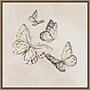 Amanti Art Butterfly Fly by Eli Jones Framed Canvas Wall Art Print, 22"W x 22"H (A42678865961)~#|#~sp312925916_sc7