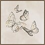 Amanti Art Butterfly Fly by Eli Jones Framed Canvas Wall Art Print, 30"W x 30"H (A42678865962)~#|#~sp312926442_sc7