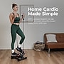 Sunny Health & Fitness Smart Twist Stepper with Resistance Bands, Black (NO. 068SMART)~#|#~sp313051112_sc7