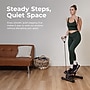 Sunny Health & Fitness Smart Twist Stepper with Resistance Bands, Black (NO. 068SMART)~#|#~sp313051114_sc7