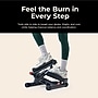 Sunny Health & Fitness Smart Twist Stepper with Resistance Bands, Black (NO. 068SMART)~#|#~sp313051116_sc7