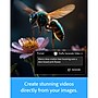 Adobe Lightroom for 1 User, 24-Month Subscription, 1TB, PC, Download (ADO951800V267)~#|#~sp313051161_sc7