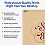 Avery Geo Integrated Cards, Matte Kraft Brown, 10/Pack (19479398974)~#|#~sp314002344_sc7