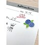 Teacher Created Resources Fruit Pop Smelly Stickers, Assorted Colors, 411/Pack (TCR10329)~#|#~sp314055134_sc7