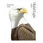 New USPS Bald Eagle Forever Stamps, 20 Postage Stamps (FOR-BALDEAGL-20)~#|#~sp314430261_sc7