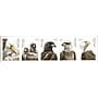 New USPS Bald Eagle Forever Stamps, 20 Postage Stamps (FOR-BALDEAGL-20)~#|#~sp314430263_sc7