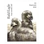 New USPS Bald Eagle Forever Stamps, 20 Postage Stamps (FOR-BALDEAGL-20)~#|#~sp314430265_sc7