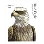 New USPS Bald Eagle Forever Stamps, 20 Postage Stamps (FOR-BALDEAGL-20)~#|#~sp314430267_sc7