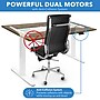 Mount-It! Dual Motor 55"W Electric Rectangular Adjustable Standing Desk, Oak/White (MI-18098)~#|#~sp314779748_sc7