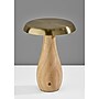 Adesso Naya 9.25"H LED Table Lamp, Natural Wood/Antique Brass Metal Shade (3196-12)~#|#~sp314842434_sc7