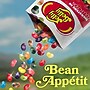 Jelly Belly Signature 20 Collection Jelly Beans, Assorted Flavors, 1.3 lbs. (83865)~#|#~sp314875316_sc7