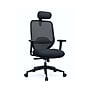 FlexiSpot Ergonomic Mesh Swivel Computer and Desk Chair, Black (C5BG-F1)~#|#~sp315952643_sc7