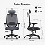 FlexiSpot Ergonomic Mesh Swivel Computer and Desk Chair, Black (C5BG-F1)~#|#~sp315952645_sc7
