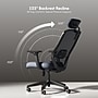 FlexiSpot Ergonomic Mesh Swivel Computer and Desk Chair, Black (C5BG-F1)~#|#~sp315952646_sc7