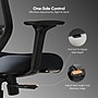 FlexiSpot Ergonomic Mesh Swivel Computer and Desk Chair, Black (C5BG-F1)~#|#~sp315952649_sc7