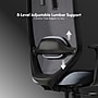FlexiSpot Ergonomic Mesh Swivel Computer and Desk Chair, Black (C5BG-F1)~#|#~sp315952651_sc7