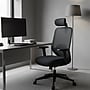 FlexiSpot Ergonomic Mesh Swivel Computer and Desk Chair, Black (C5BG-F1)~#|#~sp315952652_sc7