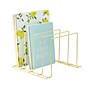 Better Houseware Coated Steel 4-Section Large Vertical Organizer, Brass (BTH14933B)~#|#~sp316742503_sc7