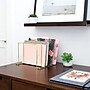 Better Houseware Coated Steel 4-Section Large Vertical Organizer, Brass (BTH14933B)~#|#~sp316742514_sc7