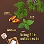 Febreze Air Mist Air Freshener Spray, Cozy Campfire Scent, 8.1 oz (37878)~#|#~sp317287317_sc7