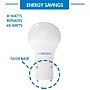 Viribright 9 Watts Daylight LED Household Bulb (640336)~#|#~sp317727210_sc7