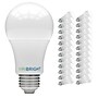 Viribright 9 Watts Cool White LED Household Bulb, 24/Box (640339-24)~#|#~sp317727244_sc7